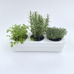 Kit Potager Urbain Deluxe