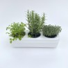 Kit Potager Urbain Deluxe
